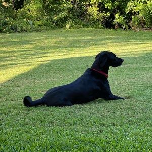 Meet your Posher, Stephen